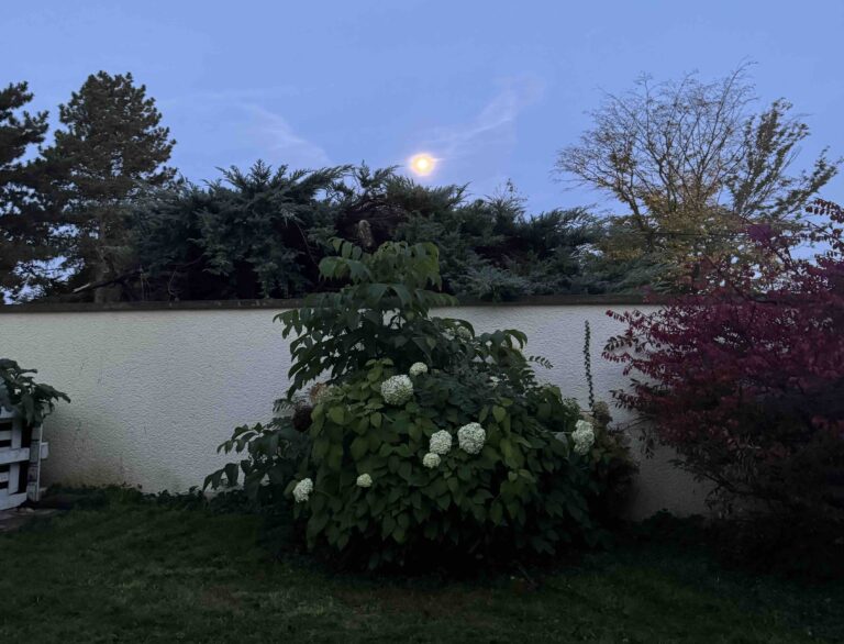 החלמה משברון לב – איך ממשיכים הלאה