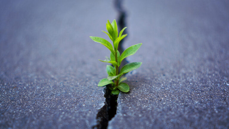 מן השבר לצמיחה – סיפור שיקום אישי במסגרת השיקום המקצועי